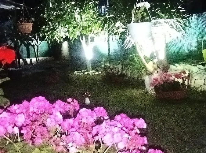 公寓 Sofis House *
