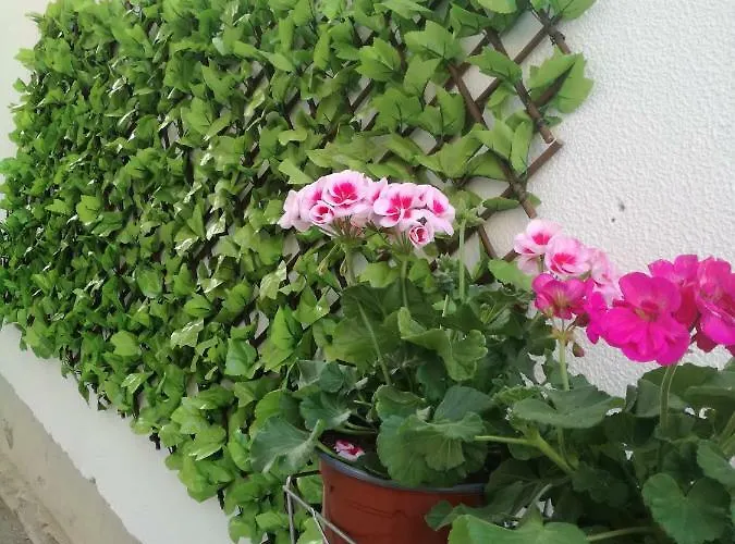 Sofis House 公寓 卡瓦拉