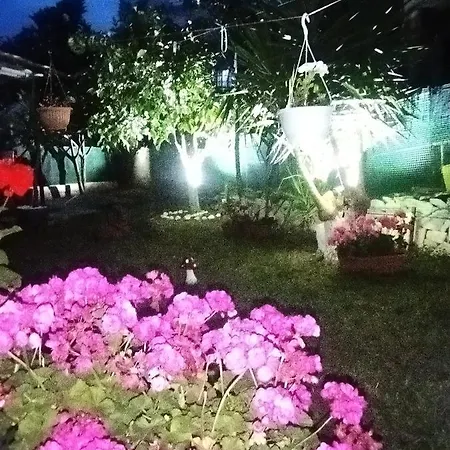 아파트 Sofis House *