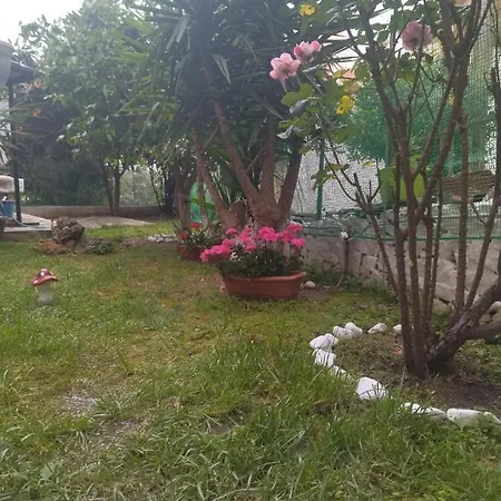 Apartament Sofis House *