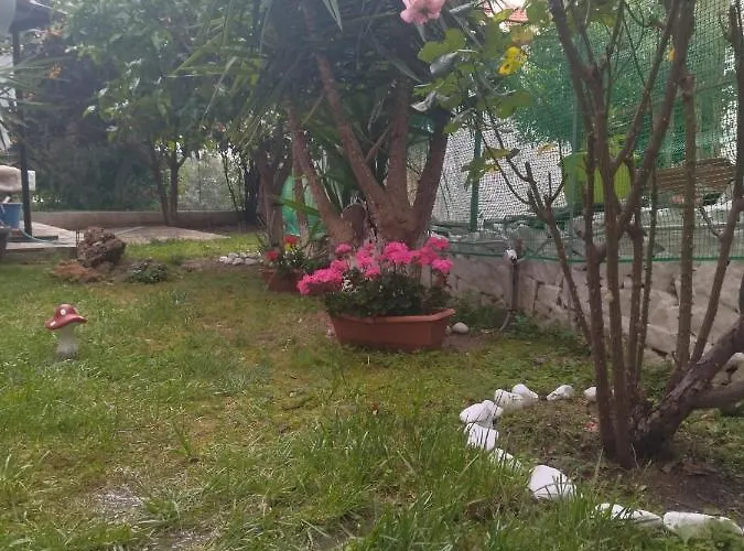 Apartament Sofis House *